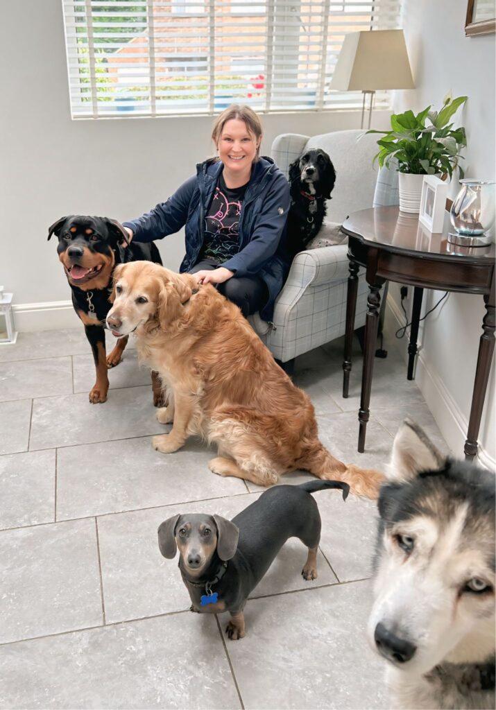 Expert Dog Training
