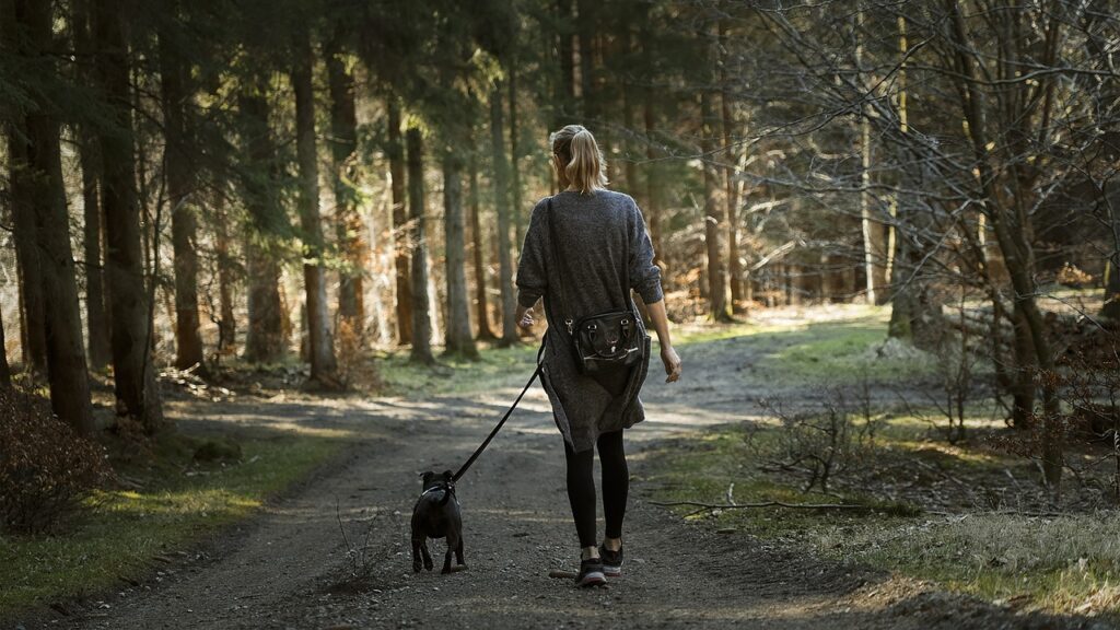 Dog Walking Services Leeds, West Yorkshire