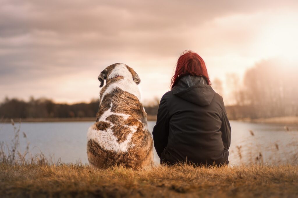 Recall classes for dogs in Leeds, West Yorkshire