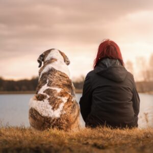 Recall classes for dogs in Leeds, West Yorkshire