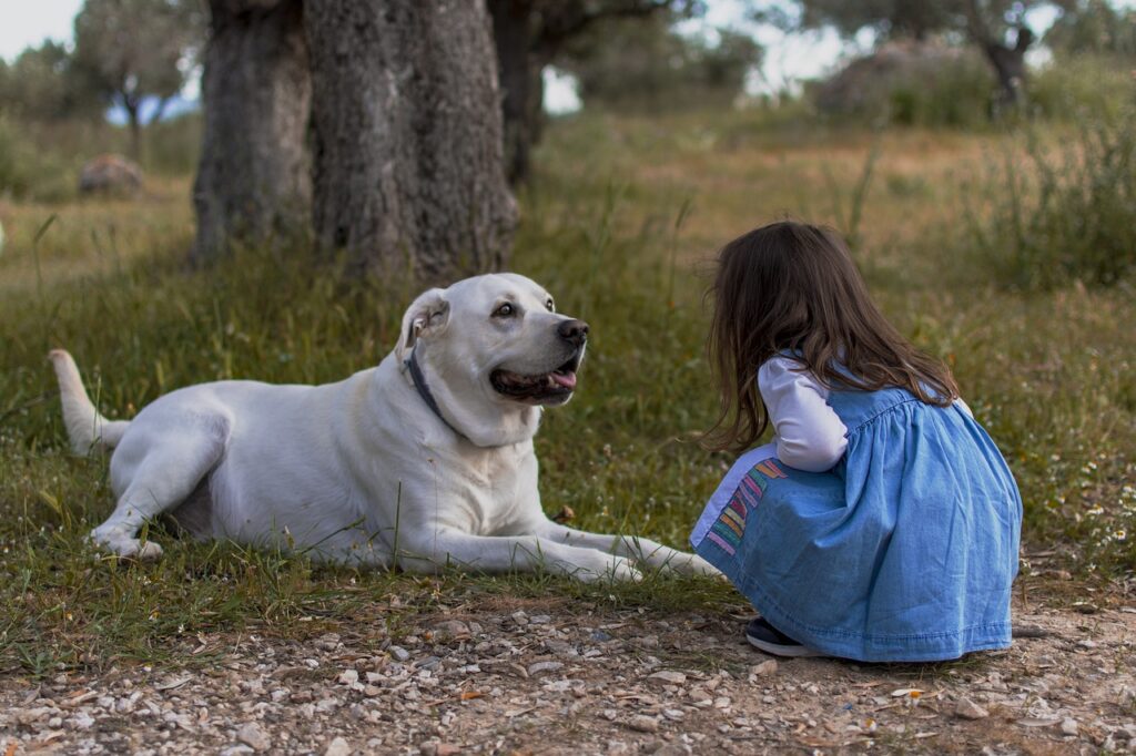 Best advanced dog trainers in Leeds. West Yorkshire.